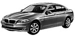 BMW F10 P2080 Fault Code